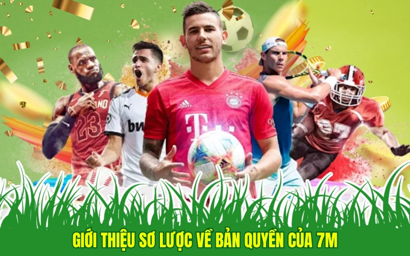 Giới thiệu sơ lược về bản quyền của 7m